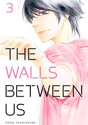 The Walls Between Us. Vol. 3 cover image cdn