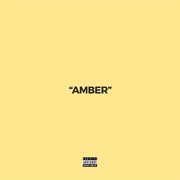 Amber cover image cdn