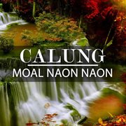 Calung moal naon naon cover image cdn