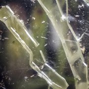 Eclipse cover image cdn