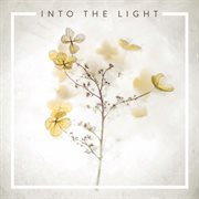 Into the light cover image cdn