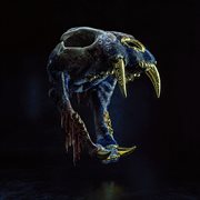 MF Graves cover image cdn