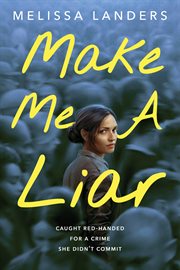Make Me a Liar cover image cdn