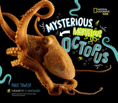 Mysterious, marvelous octopus  cover image cdn