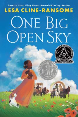 One big open sky  cover image cdn