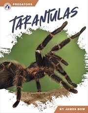 Tarantulas. Predators cover image cdn