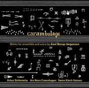 Axel Borup-Jørgensen : Carambolage cover image cdn