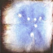 Delicate Fires cover image cdn