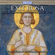 Exit Rosa cover image cdn