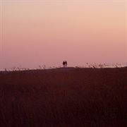 Mistiness of you cover image cdn