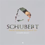 Schubert : Piano Sonatas, D. 568 & 845 cover image cdn