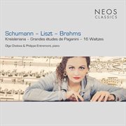 Schumann, Liszt & Brahms : Piano Works cover image cdn