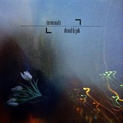 Terminals cover image cdn