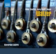 Walzer Fur Klavier Zu Vier Handen cover image cdn