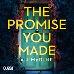 THE PROMISE YOU MADE cover image cdn