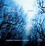 Elegy cover image cdn