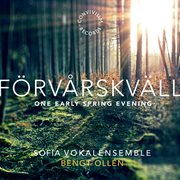 Förvårskväll cover image cdn