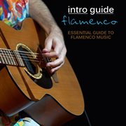 Intro Guide : Flamenco cover image cdn