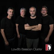 Lowb-Flat Bassoon Cluster cover image cdn