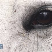 Lucia Dlugoszewski : Openings Of The Eye & Lords Of Persia cover image cdn