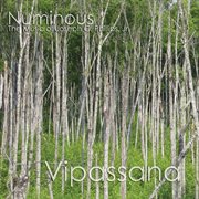 Numinous cover image cdn