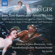 Reger : Orchestral Works cover image cdn