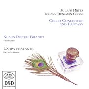 Rietz & Gross : Cello Concertos & Fantasy cover image cdn