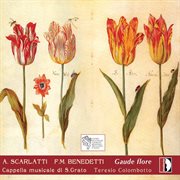 Scarlatti & Benedetti : Gaude Flore cover image cdn