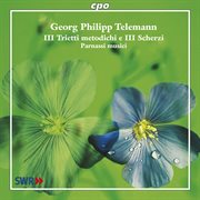 Telemann, G.p. : Chamber Music (parnassi Musici) cover image cdn