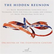 The Hidden Reunion cover image cdn