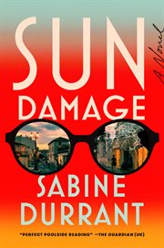 Sun Damage : A Novel cover image cdn