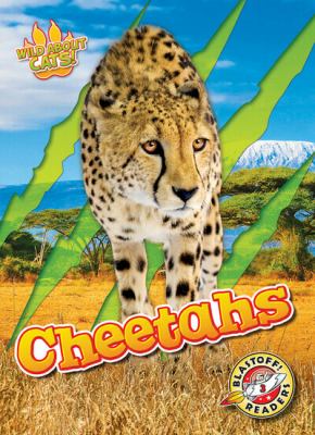 Cheetahs  cover image cdn