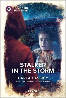 Stalker in the storm cover image