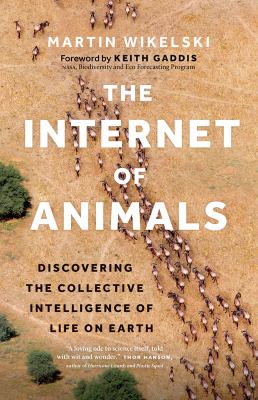 The internet of animals : discovering the collective intelligence of life on Earth  cover image cdn