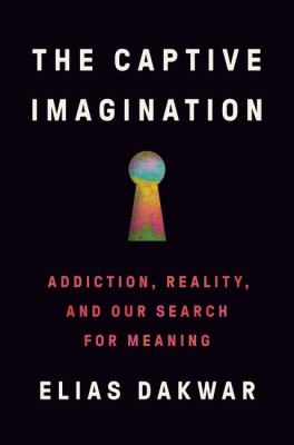 The captive imagination : addiction, reality, and our search for meaning  cover image cdn