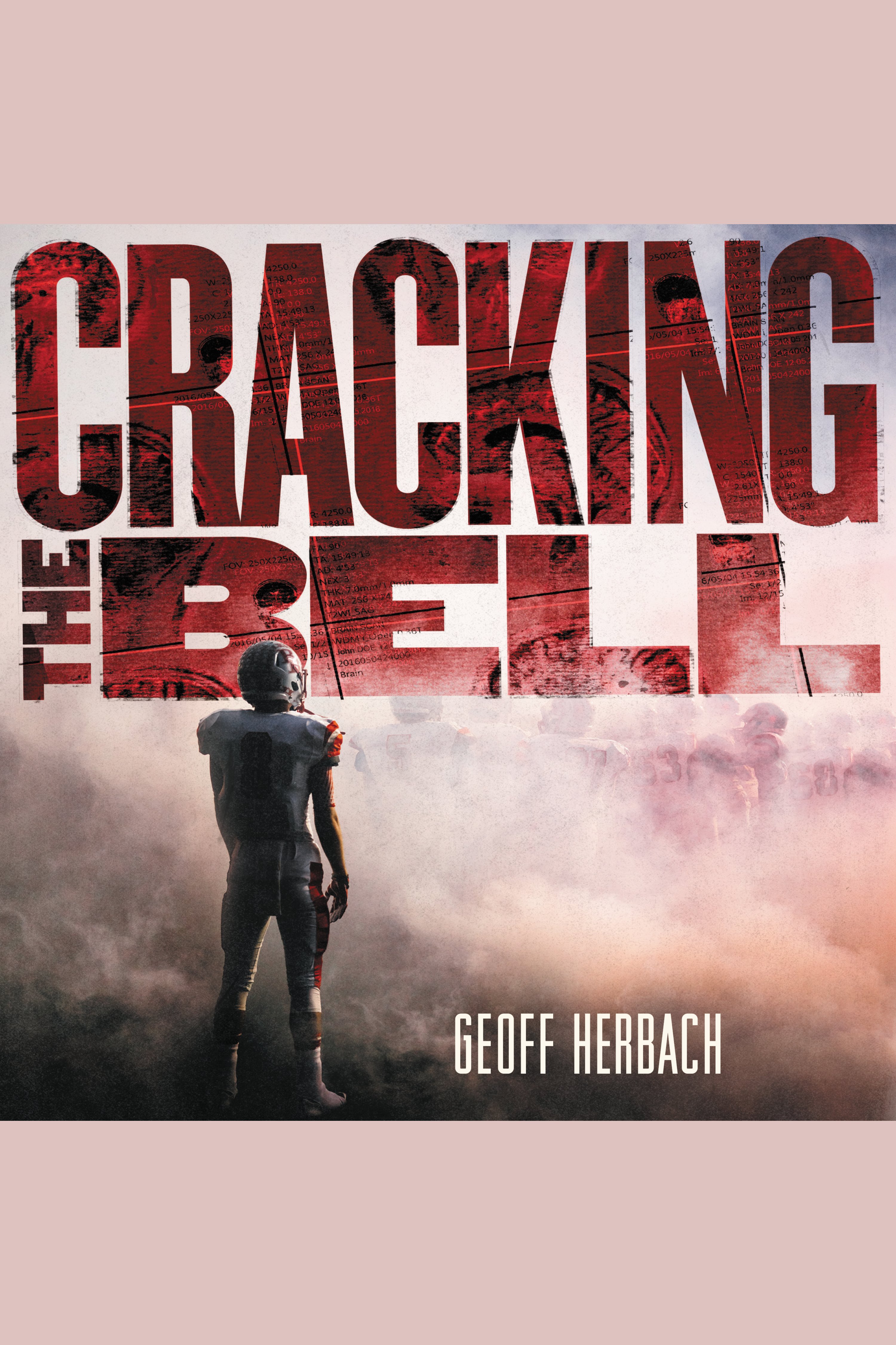 Cracking the Bell cover image cdn
