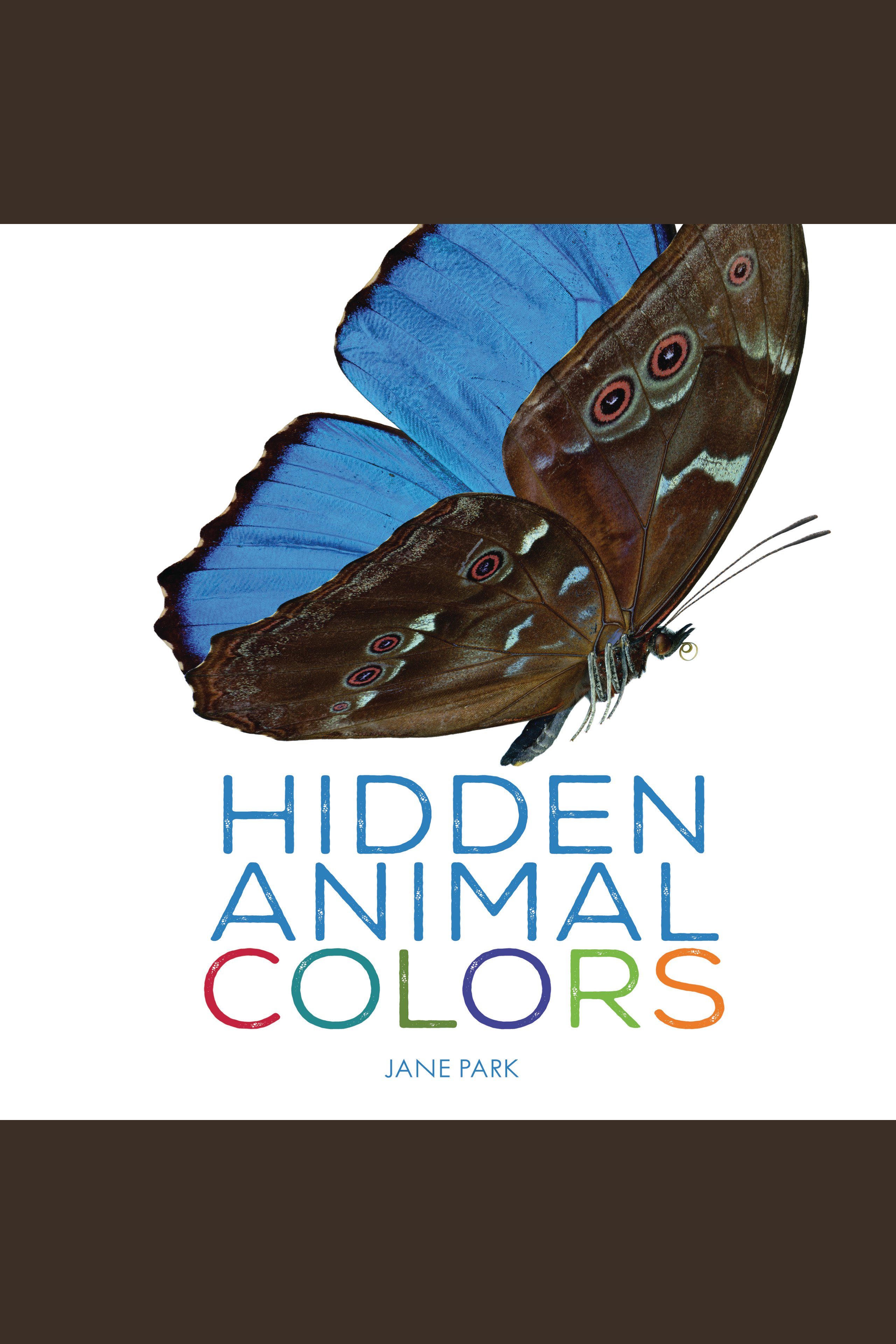 Hidden Animal Colors cover image cdn