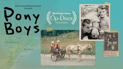 Pony Boys cover image cdn