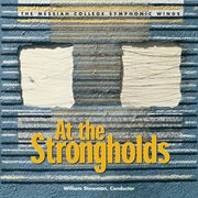 At The Strongholds cover image cdn