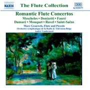 Flute Concertos (romantic) cover image cdn
