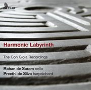 Harmonic Labyrinth cover image cdn