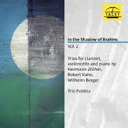 In The Shadow Of Brahms, Vol. 2 cover image cdn