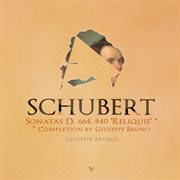 Schubert : Piano Sonata No. 13, D. 664 & No. 15, D. 840 "Reliquie" cover image cdn