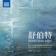 Schubert : Piano Sonata No. 16, Op. 42, D. 845 & 4 Impromptus, Op.  90, D. 899 cover image cdn