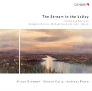 The Stream In The Valley cover image cdn