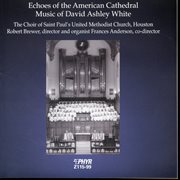 White : Echoes Of The American Cathedral cover image cdn
