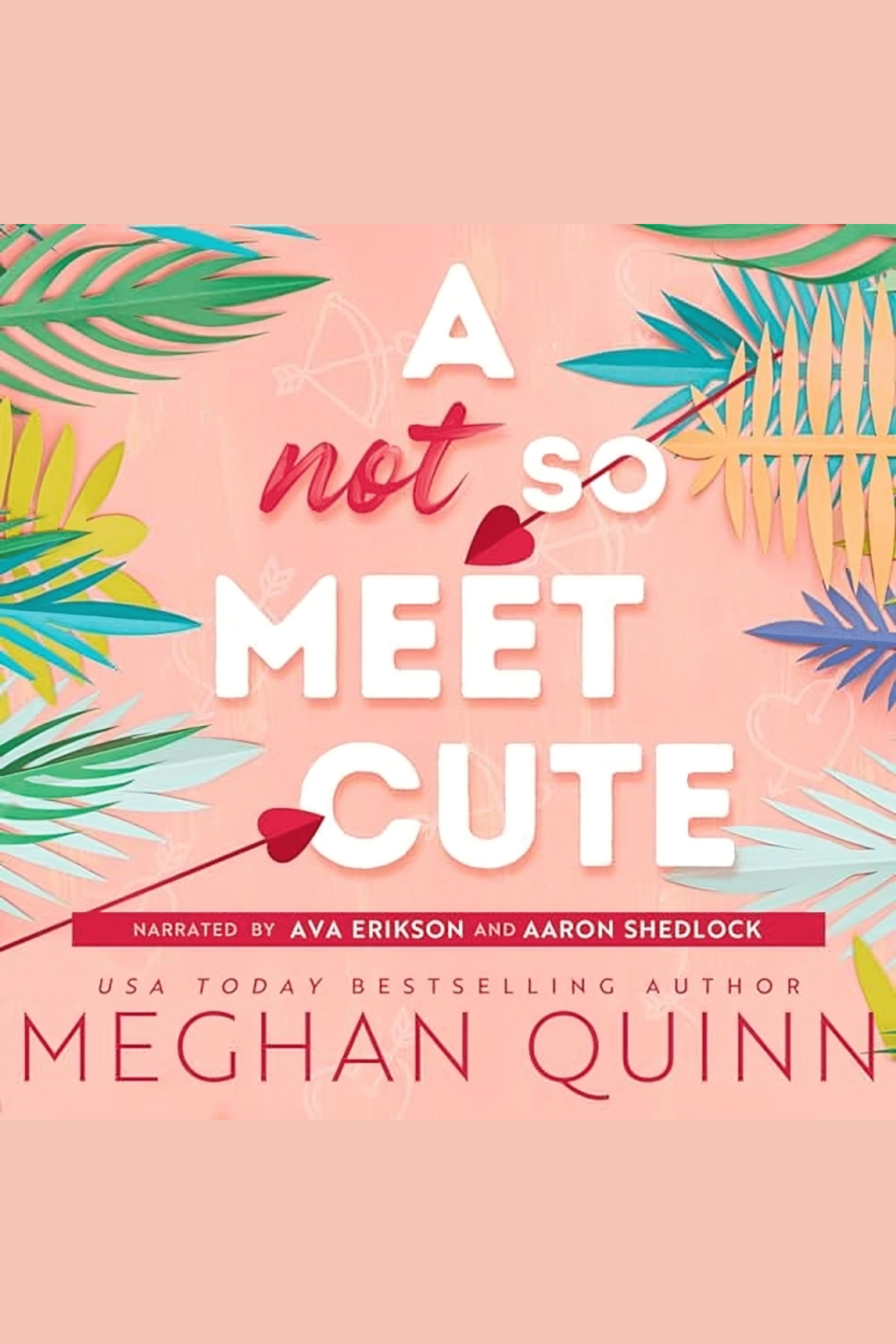 A Not So Meet Cute cover image cdn