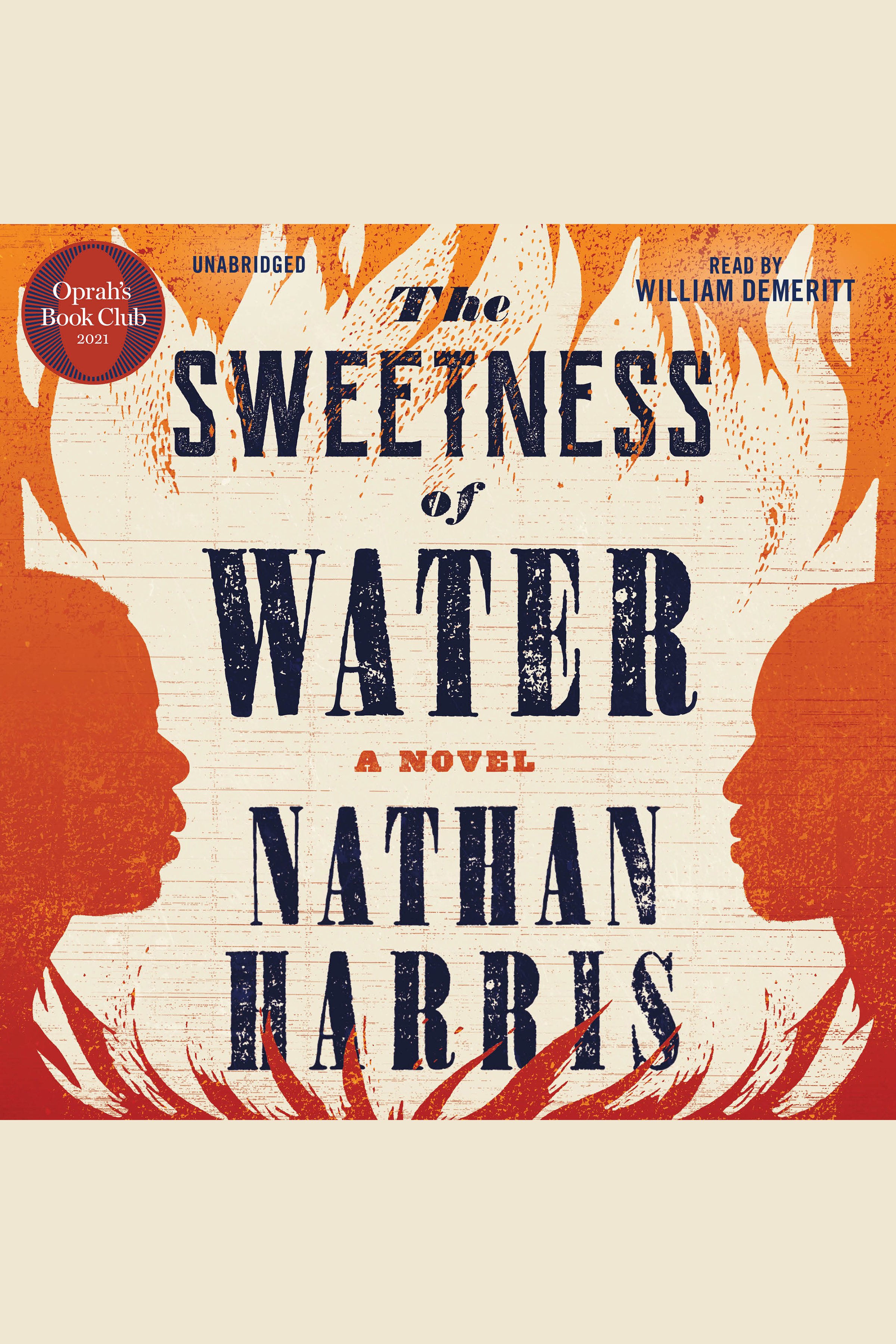 The Sweetness of Water cover image cdn