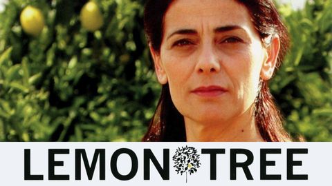 Lemon Tree cover image cdn