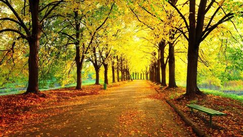 Understanding the Universe: An Introduction to Astronomy, 2nd Edition. Episode 8 The Reason for the Seasons cover image cdn